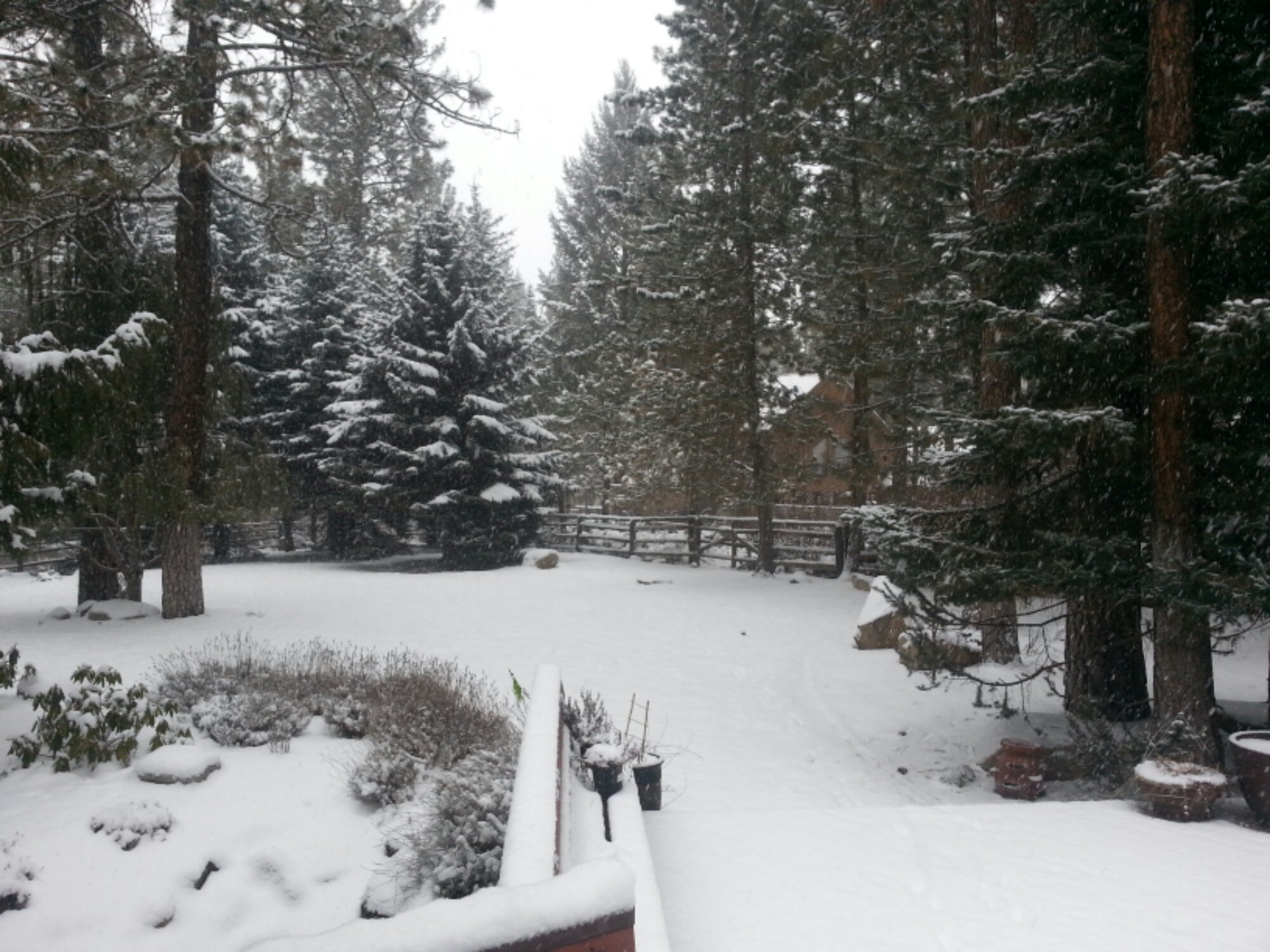 Snowfall in Spokane